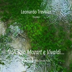 ventinovesima composizione (feat. Leonardo Trevisan)