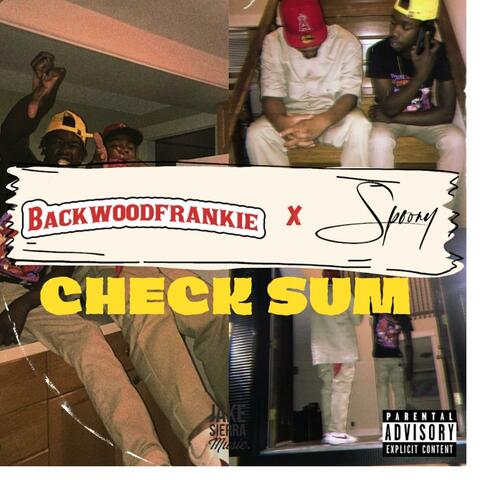 Check Sum (feat. Spoony)