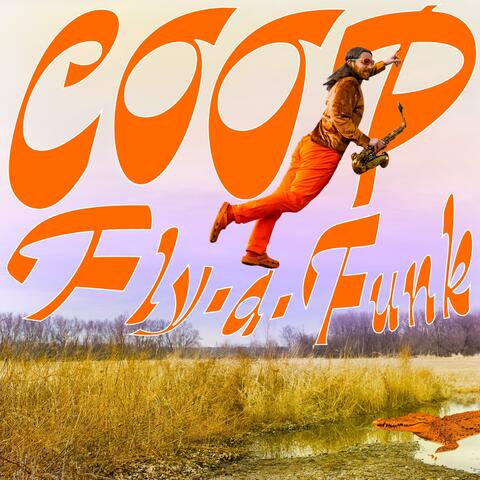 Fly-a-Funk