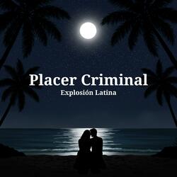 Placer Criminal