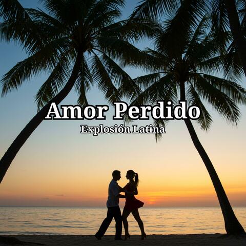 Amor Perdido