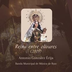 Reina entre olivares (BMM Rute)