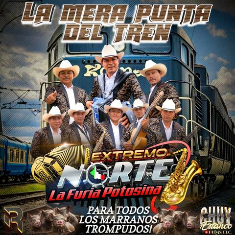 La Mera Punta Del Tren