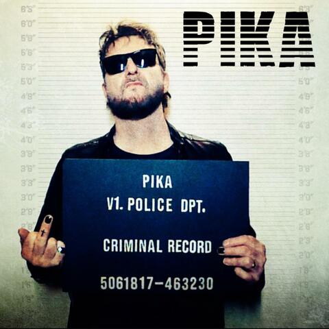 Criminal Record