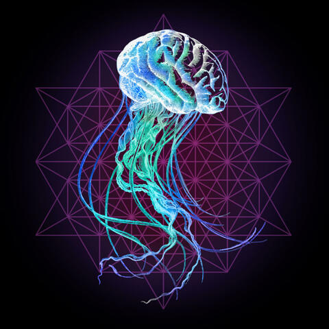 THE PRISM OF SELF