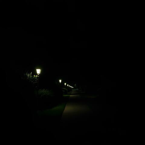 The Walk Home
