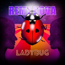Ladybug
