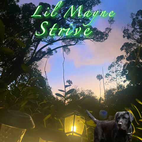 Strive