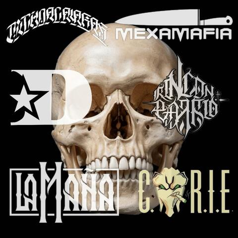 EL AVISPERO (feat. Churro one , Bull Montana & Grezzly(prod))