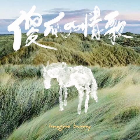 Love Songs for a Fool 傻瓜的情歌