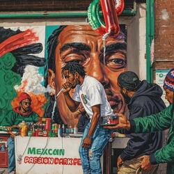 SHOT MYSELF IN THE STU