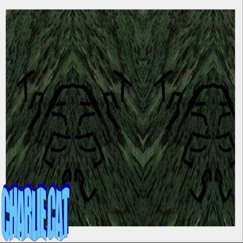 Wood Frog Path