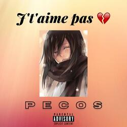 J't'aime pas