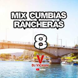 Cumbias Rancheras 8 (Radio Edit)