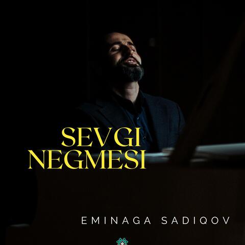 Sevgi Negmesi