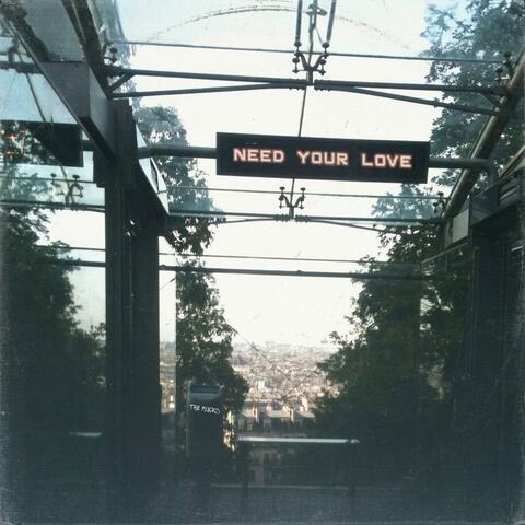 Need Your Love