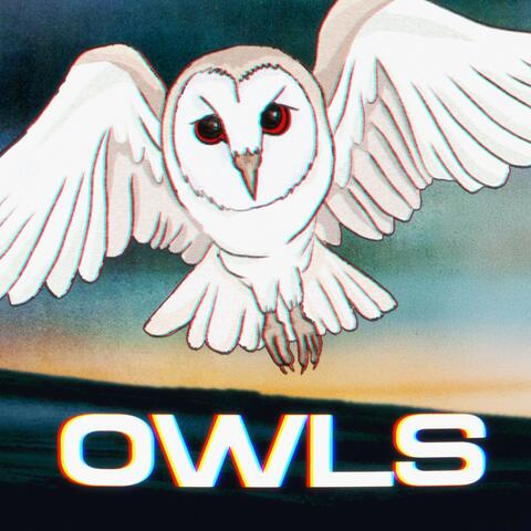 OWLS (single)