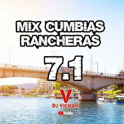Cumbias Rancheras 7.1 (Radio Edit)