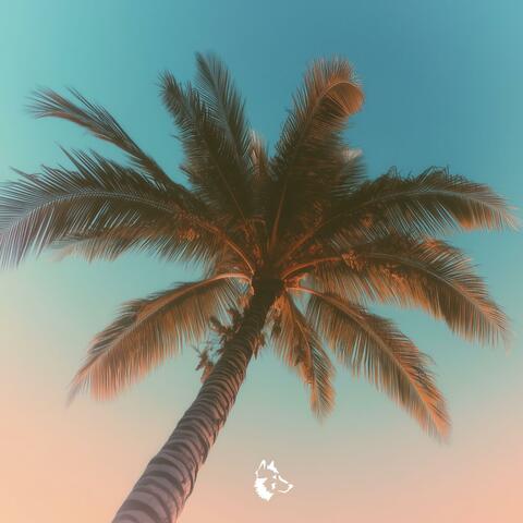 Cloud Nine