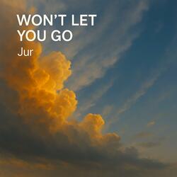 Won't Let You Go