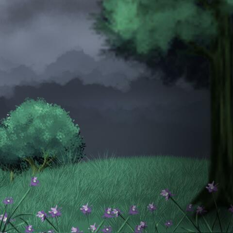 My Place
