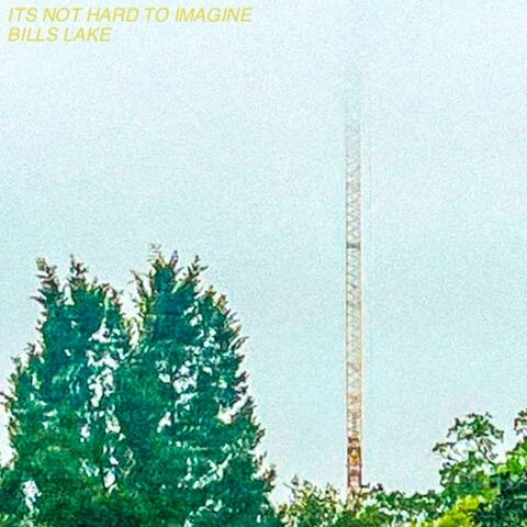 ITS NOT HARD TO IMAGINE / BILLS LAKE
