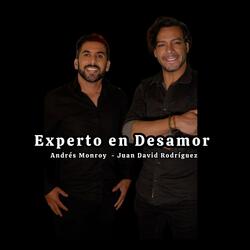 Experto en Desamor