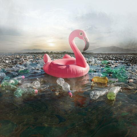 The Good, The True, The Simple (Pt. I)