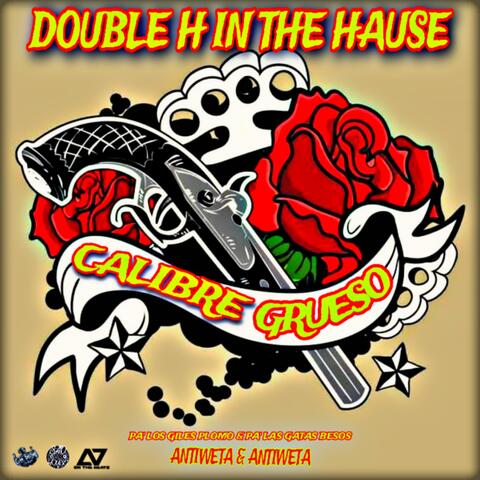 Calibre Grueso