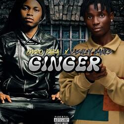 GINGER (feat. Cashley Bvnks)