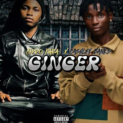 GINGER (feat. Cashley Bvnks)