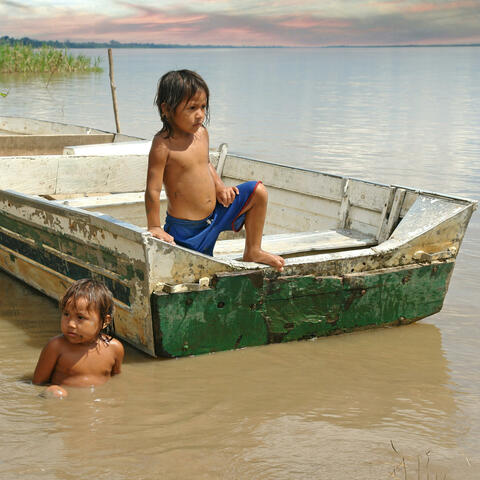 Along the Amazon