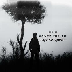 Never Got to Say Goodbye