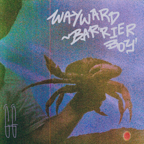 Wayward Barrier Boy
