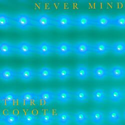 Never Mind