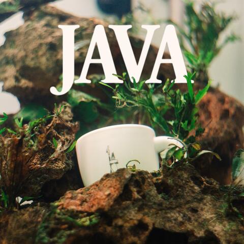 Java