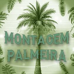 MONTAGEM PALMEIRA (super slowed)
