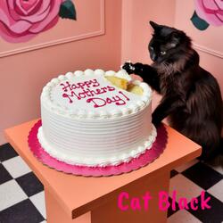 The Mother's Day Song