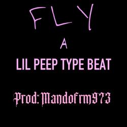 Fly