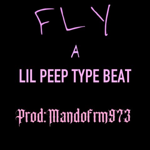 Fly