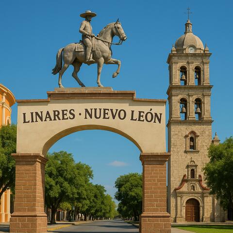Por hoy te funciono