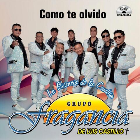 Como te olvidó (Radio Edit)