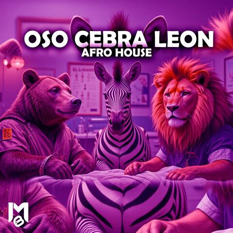 Oso Cebra Leon (Afro House) Otorrinolaringologo