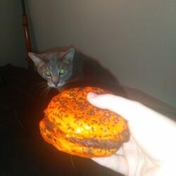 The Devil (Part Four)