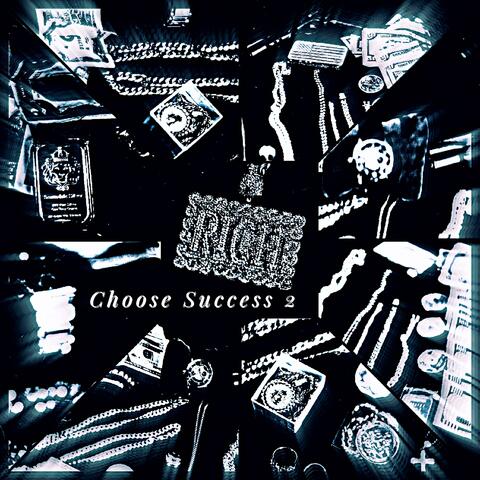 Choose Success, Vol. 2