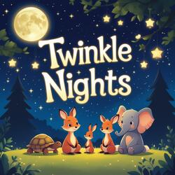 Twinkle Nights