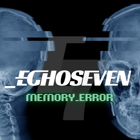 Memory _Error