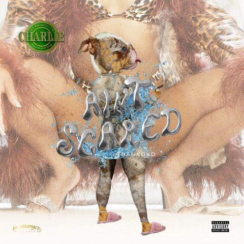 AIN'T SCARED (feat. BANK GXD)