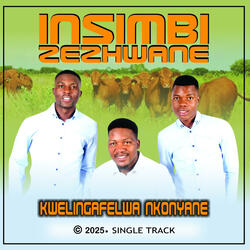 KWELINGAFELWA NKONYANE