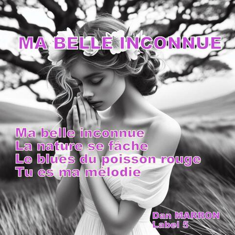 Ma belle inconnue